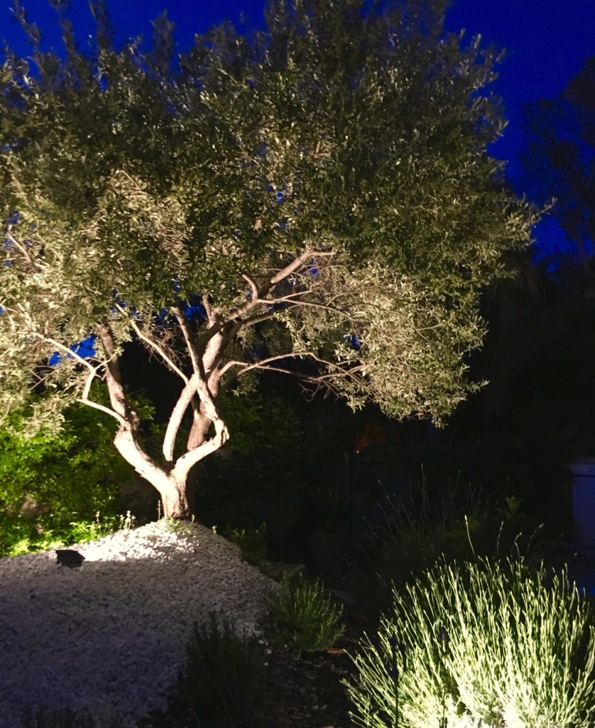 Éclairer son jardin – Jardins de Nuit – Renaud Serniclay