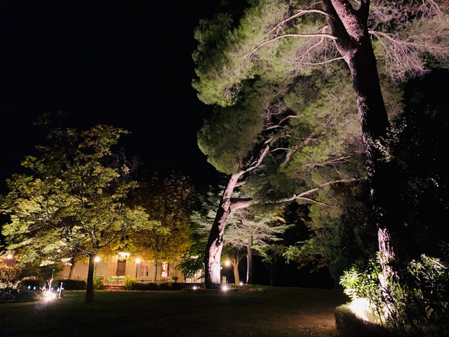 Éclairer son jardin – Jardins de Nuit – Renaud Serniclay