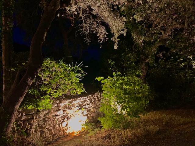 Éclairer son jardin – Jardins de Nuit – Renaud Serniclay