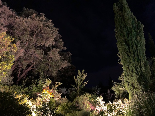 Éclairer son jardin – Jardins de Nuit – Renaud Serniclay