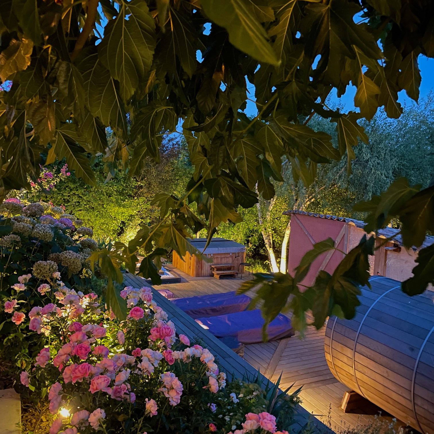 eclairage jardin mas ardèche guirlande lumineuse gite ivresse des sens peaugres Auvergne-Rhône-Alpes B