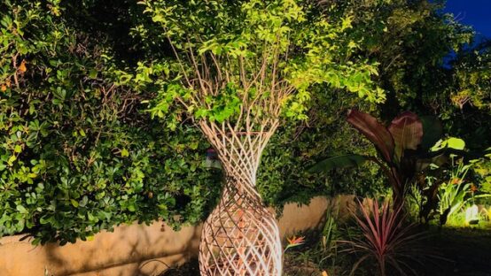eclairage extérieur jardin marseille olivier piscine yuccas palmiers terrasse lilas 2