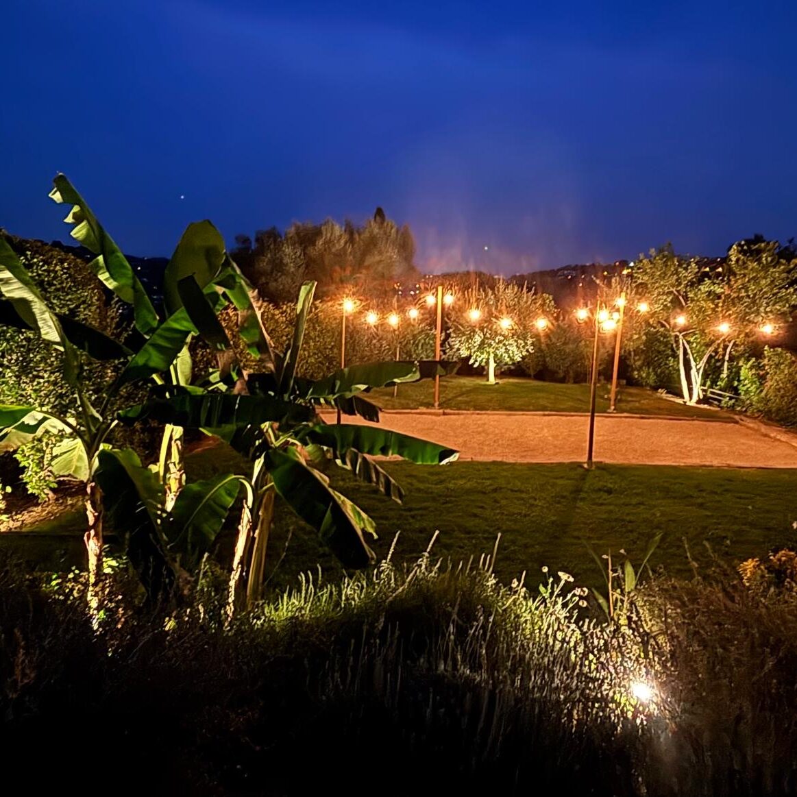 jardins de nuit eclairage jardin vence nice cannes yucca cyprès bananier éclairage nocturne petanque eclairage terrain boules