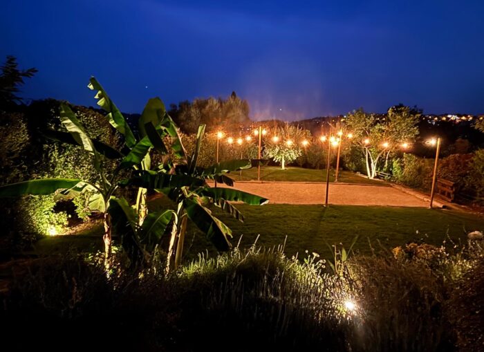 jardins de nuit eclairage jardin vence nice cannes yucca cyprès bananier éclairage nocturne petanque eclairage terrain boules