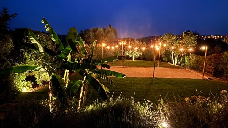 jardins de nuit eclairage jardin vence nice cannes yucca cyprès bananier éclairage nocturne petanque eclairage terrain boules