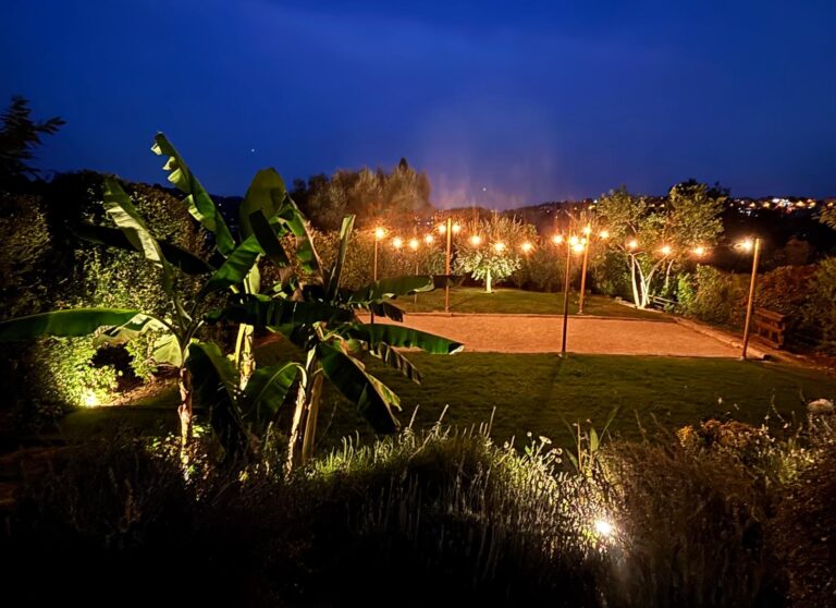 LA RIVIERA SOUS LES ETOILES jardins de nuit eclairage jardin vence nice cannes yucca cyprès bananier éclairage nocturne petanque eclairage terrain boules